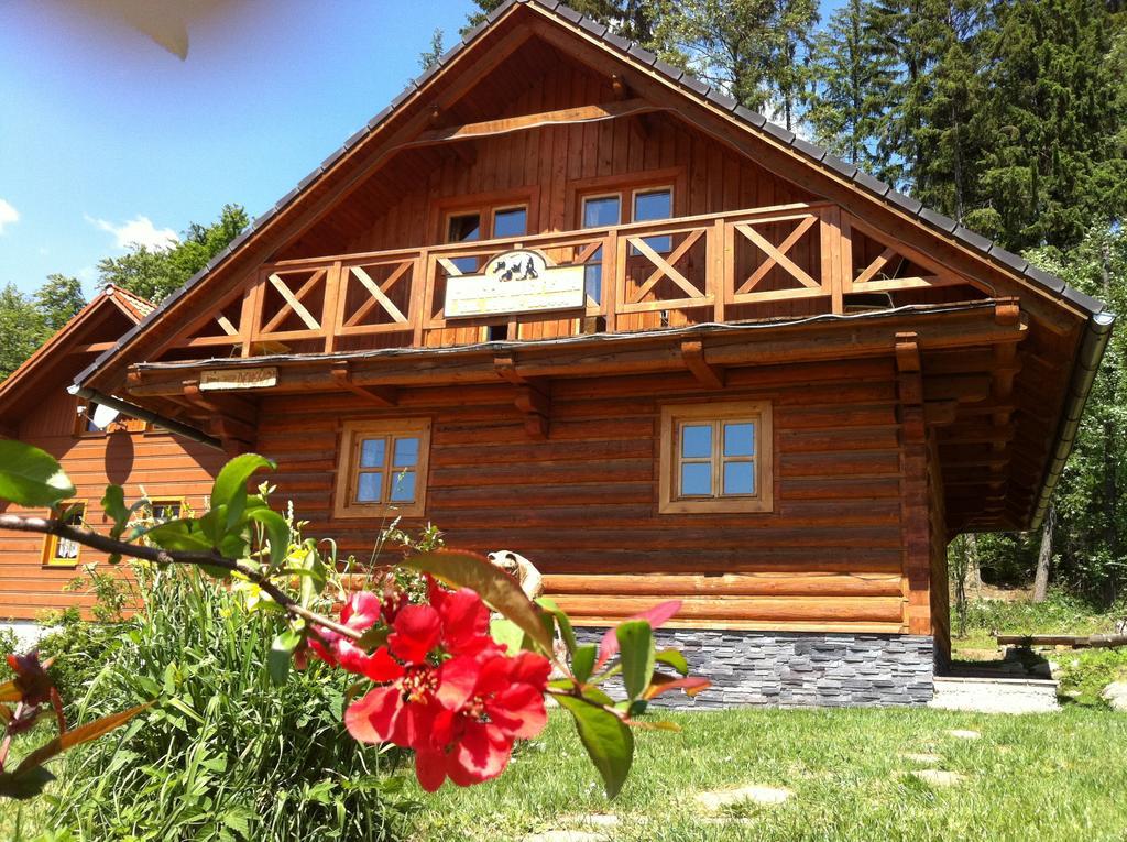 Chata Devena Валча Номер фото