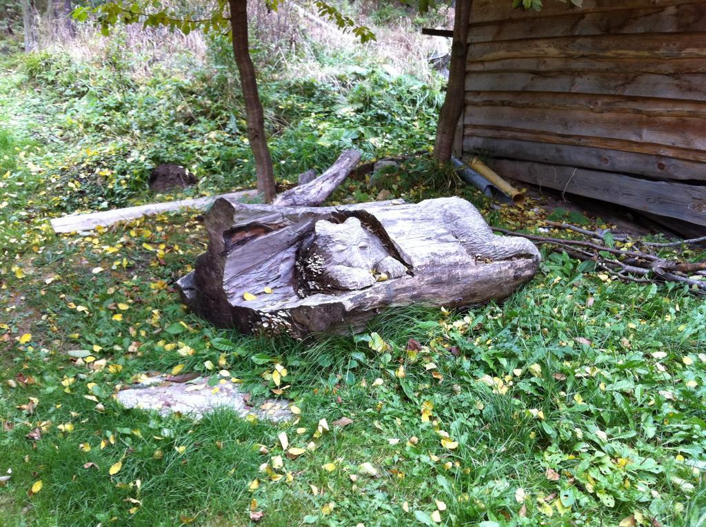 Chata Devena Валча Номер фото